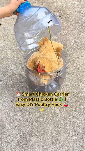 🐔 Smart Chicken Carrier from Plastic Bottle ♻️ | Easy DIY Poultry Hack 🚗✨ #diy #shorts #viral