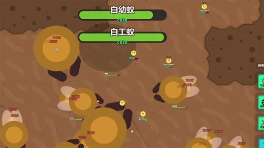 全程高能的抢ah3 3s和一波*3合卡！