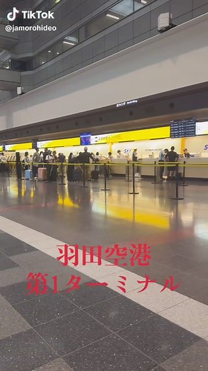 羽田空港第1ターミナル スカイマーク便ガイド