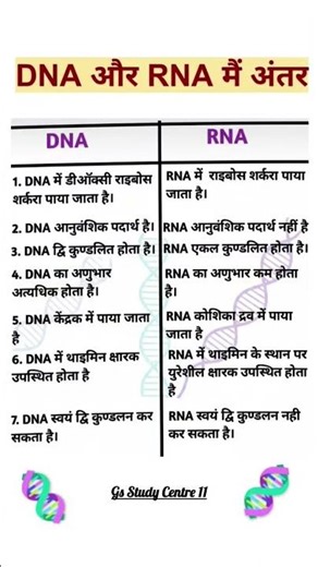 DNA और RNA में अंतर | DNA vs RNA Difference class 10 biology