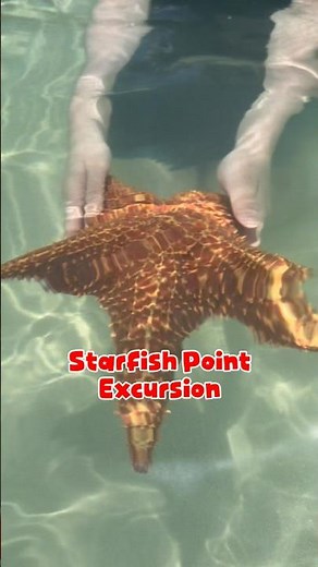 Starfish Point Excursion at Grand Cayman Island ✨🐚 Disney Cruise Port Day!