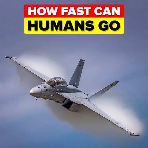 Humans have a need for speed, and since the invention of the wheel, we have been obsessed with going faster and faster! Check out today's epic video that looks back at how humans got faster through technological advancements and what our current top speed actually is! | The Infographics Show