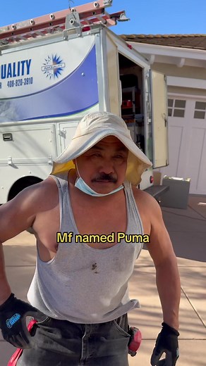 Exploring the Latest Puma Sneaker Collection