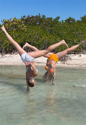 🪸 salty sea cartwheels 🤸 @BaileysBay
