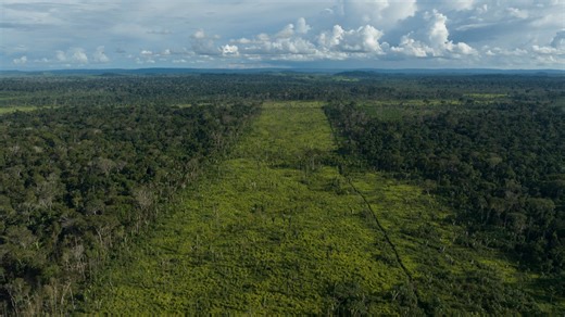 ‘Green’ diesel producer's supplier linked to Amazon deforestation