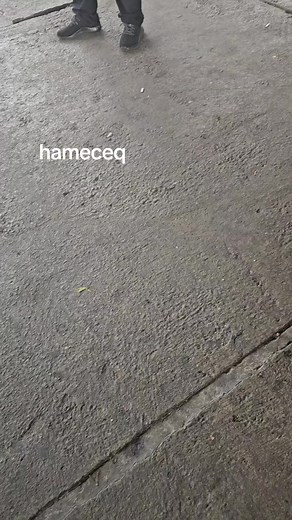 Exploring a Bustling Outdoor Market with Fresh Produce