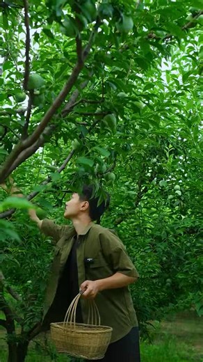 Fruit Garden Tour Video #gardenharvesting #harvestHarvesting #gardenlifegarden #garden #gardenlifegarden #gardening #gardeningtipsandtricks | Garden Tips