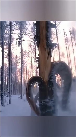 Exploding Trees! ❄️