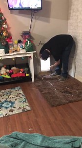 937K views · 6.1K reactions | Dixie took her first trip out the doggie door, but when she was headed back Bug went first and the flap hit her, so she was afraid to come back through. As a true gentleman, Bug went back out to get her and allowed her to come back in first. Who says chivalry is dead?! Oh Augie... | Augie Doggy’s Place | Facebook