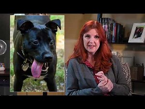 Flosstube #4: A Fully Finishing Frenzy!