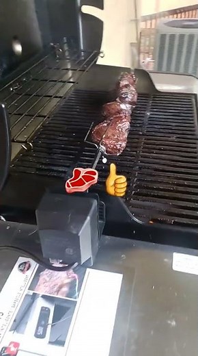 picanha in gas weber rotisserie.
