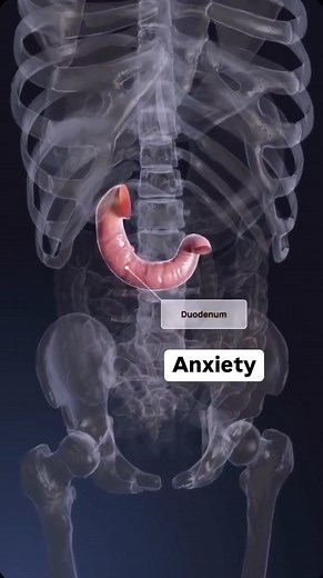 Ever wondered why you suddenly feel unwell or why certain ailments linger despite your best efforts? The missing link might be emotional energy stored in your body—especially within your emunctory organs, the natural pathways that eliminate not just physical, but also emotional waste. 🌿 Your liver, lungs, and colon don’t only process toxins—they also hold onto emotional imprints. When left unprocessed, these emotions can surface as chronic symptoms or imbalances. It’s a subtle but powerful conn