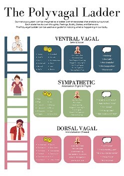 Polyvagal ladder Worksheet, Polyvagal Theory, Trauma Recovery Aid, Polyvagal Inf