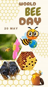 World Bee Day Animation Honeycomb Bees Stock Footage Video (100% Royalty-free) 3877783383 | Shutterstock