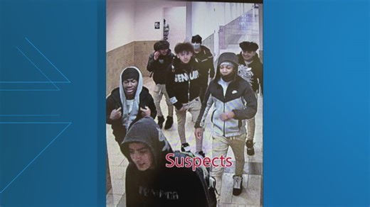 Montgomery County police looking for suspects in Wheaton Mall bathroom assault