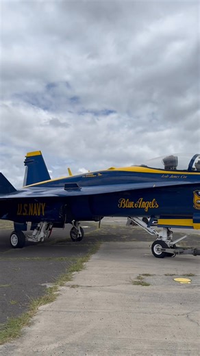 8.6K views · 238 reactions | The Hornet Has Landed in Hangar 79. From...