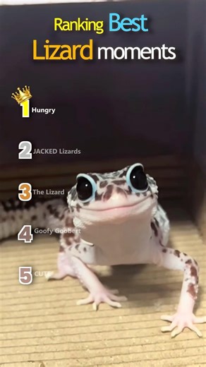 Ranking peak lizard energy #funny #shorts #lizard