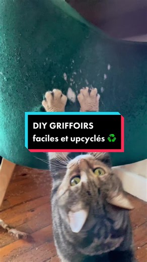 Merci à ma bf pour l’idée 🤩 TUTO organisation des jouets ➡️ @Océane 🐣 #diychat #diyfacile #chatoftiktok #tutochat #griffoirpourchat #comportementchat