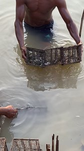 67K views · 271 reactions | Incredible RARE Old Under Water Fishing Technique | Fishing & Village Tradition | Facebook