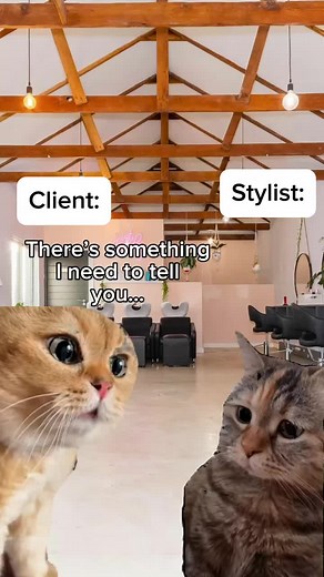 Funny Hair Transformations by Just Peachy Hair