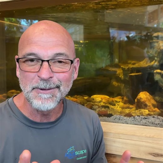 8.9K views · 128 reactions | From an average turtle tank to a Jurassic Park-esque habitat for an Aligator Snapping Turtle. Check out the transformation! | Ed The Pond Professor | Facebook