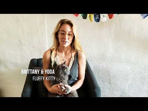 How to Clip Your Cat's Nails + Shiny Pet Nail Clipper Review