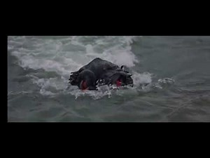 Godzilla vs The Smog Monster (1971) - Hedorah Aquatic Stage screentime