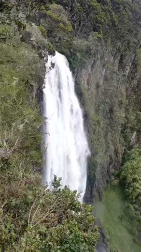 Discover the awe-inspiring wonder of Karuru Falls, Kenya's longest waterfall! Plunging an impressive 273m in three majestic steps, it's nature's own masterpiece. Dare to witness the sheer power of water at Aberdare National Park. Feel the mist, hear the roar, and experience nature's grandeur firsthand. Prepare to be breathless! #TunzaMaliYako #KenyaParks | KWS Aberdare National Park