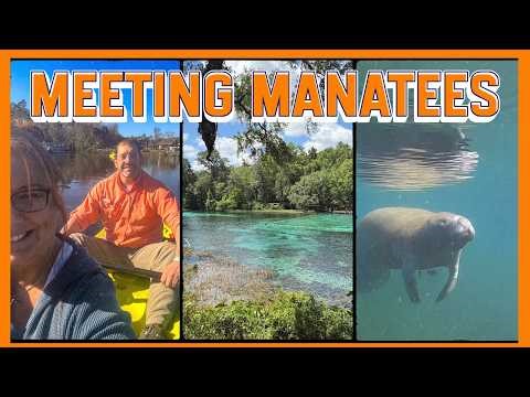 We Visited Crystal River Florida | Manatees, Springs & Hidden History