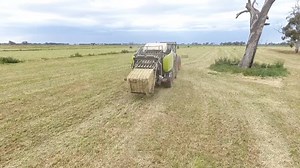 4.9K views · 52 reactions | Demo of CLAAS QUADRANT in the Echuca, Wagga and Lake Bolac regions CLAAS Harvest Centre Echuca CLAAS Harvest Centre Wagga | CLAAS Harvest Centre Australia | Facebook