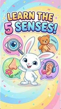 Learn the 5 Senses 👀👂👃👅✋ #kidslearning #education #preschool #funlearning