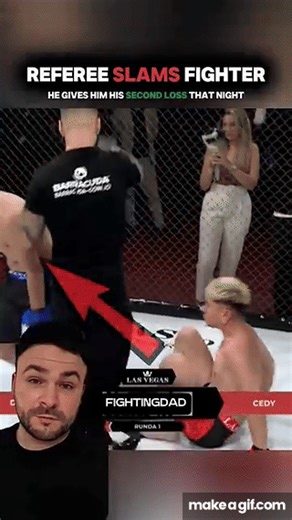 Referee SLAMS Fighter | WHEN REFEREES FIGHT BACK #mma on Make a GIF