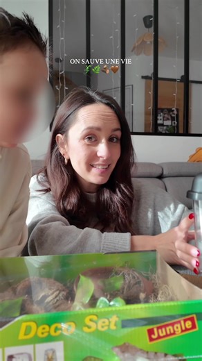 Sauvetage de Croc-mou, le gecko en hypothermie