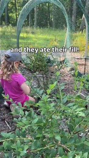 The littles are back for their annual “Auntie Camp”! Have a gardening question? Ask away! I’ve been