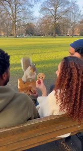 5.6K views · 14 reactions | Squirrel's Cookie Heist! Watch a squirrel surprise a couple by stealing their cookie! #fblifestyle #AI Generated using Kling AI . . . (For entertainment purposes only. Consult professionals if guidance on activities is presented. No brand affiliation is implied if any are shown. If inspired by true events, creative adaptations may be included. Content may include public footage.) | Fabiosa Hearty | Facebook
