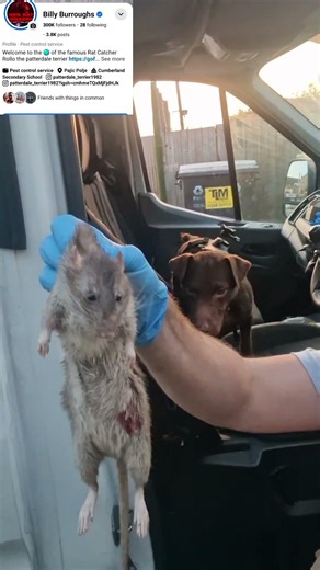 300k followers on Facebook thanks for all the support