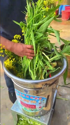 Revolutionize Your Farming: The Ultimate Vegetable Shredder Guide