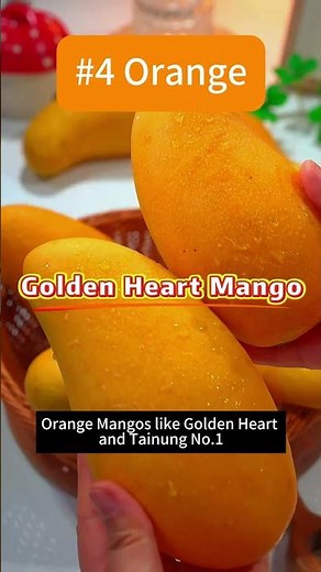 Why Do Mangos Have So Many Colors 🥭🌈 The Secret Behind Mango Shades!