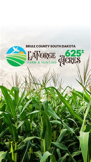 | Upcoming Auction | LaForge Farm & Hunting Land . . . Don’t miss this rare opportunity to acquire the LaForge Farm & Hunting Land - 625± acres of highly productive farmland paired with exceptional recreational value in Brule County, South Dakota. This expansive property offers strong agricultural income potential alongside renowned pheasant hunting, making it attractive to both investors and outdoor enthusiasts. The property will be offered via an online-only auction, with bidding opening on Ma