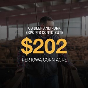 ICGA works to create opportunities for long-term Iowa corn grower profitability, and it all starts with you. Join the 7,000 members who know corn is everything! It’s your voice. It’s time to take your seat at the table! | Iowa Corn