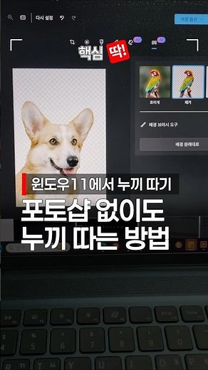 포토샵 없이 10초 만에 누끼 따는 법 (이거 몰랐으면 손해)