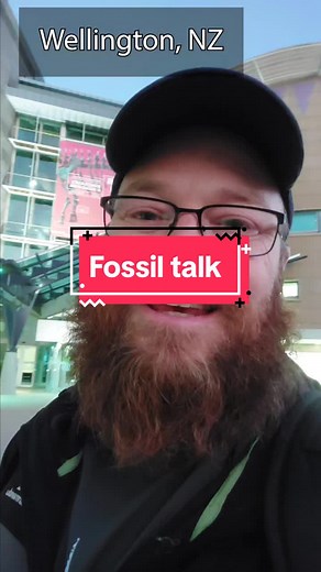 Free fossil talk, come see the giant crab, turtle skull and penguin I found in person. I'll have some of my fossil cards as well#wellingtonnz #tepapa #museum #fossils #science #aotearoa