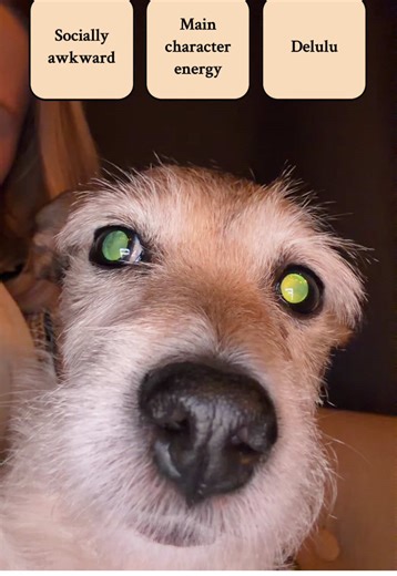 Asya vibe scan #fyp #filter | face scan filter