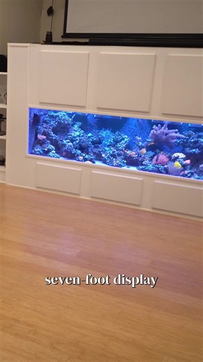 This is one of the most unique aquariums I’ve seen - and you could totally do this! #reeftank #saltwateraquarium