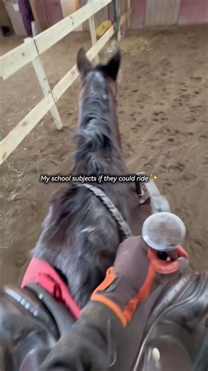 I HATE SOCIAL STUDIES 😭 #horse #horses #equestrian #horseriding #funny #fyp #viral