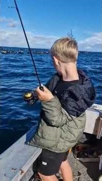 how to catch snapper on soft baits #fishing #fish #fishingtechniques #baitmaking #teamtackle