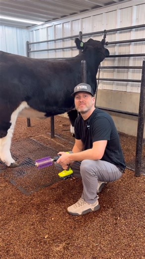 Stock Up Supply on Instagram: "How to use the Roto Brush #livestockshow #steershow #heifershow #showcattle #cattleshow"
