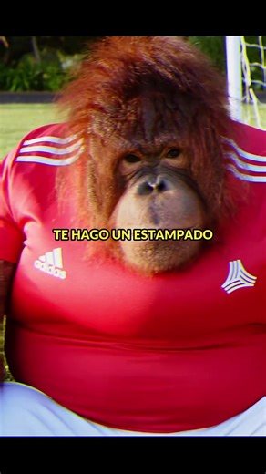 Catalina 🌹😈- MC Square x SIMULACRO ‼️ YA DISPONIBLE EN TODAS LAS PLATAFORMAS ‼️ @MC Square #videoclip #musica #argentina #trap #videoviral #paratiiiiiiiiiiiiiiiiiiiiiiiiiiiiiii #pov #duki #ysya #cro #khea