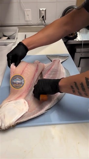 1K views · 16 reactions | Awesome sole fish fillet skills! #awesome #fish #skills | Lovato Seafood | Facebook