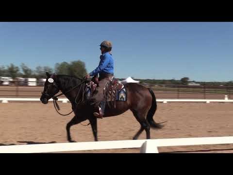 Western Dressage Intro Test 4